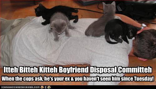 Itteh Bitteh Kitteh Boyfriend Disposal Committeh