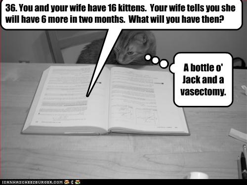 You and your wife have 16 kittens ...