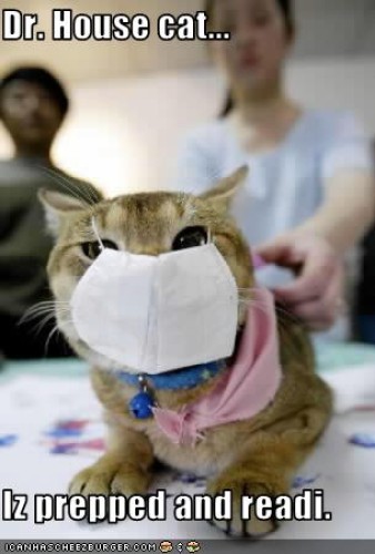 Dr. House cat...