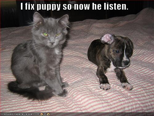 I fix puppy so now he listen.