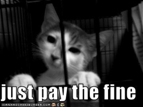 just pay the fine