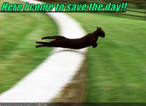 Here I come to save the day!!