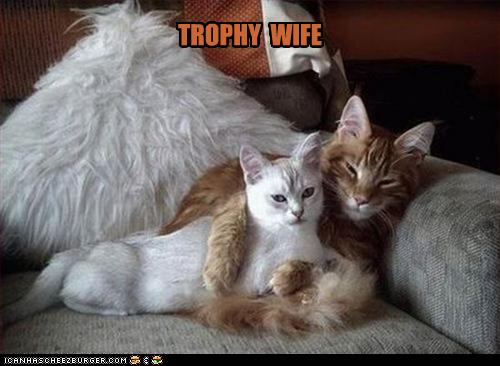 TROPHY WIFE