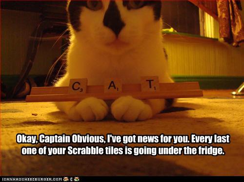 Okay, Captain Obvious