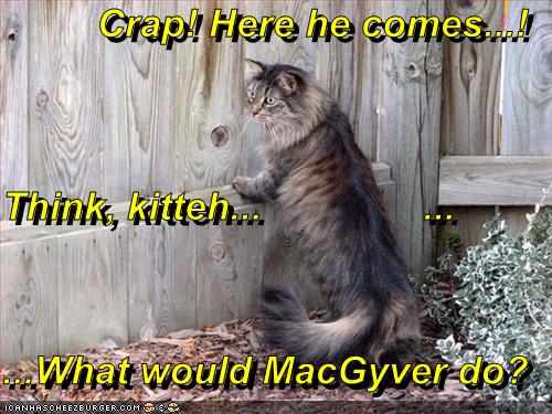 Crap! Here he comes...!