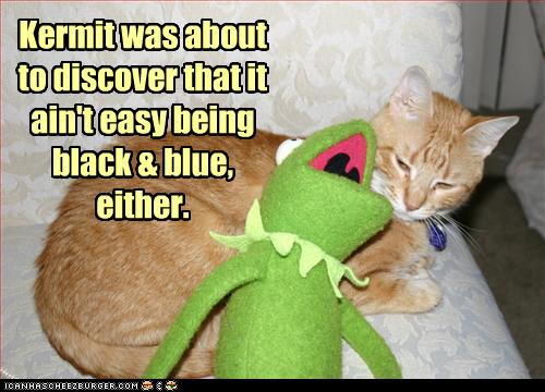 Kermit makes a discovery
