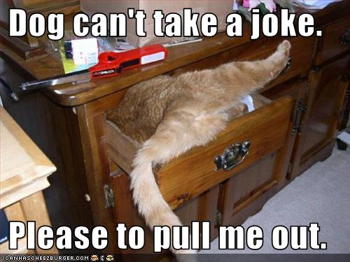 Dog can't take a joke.